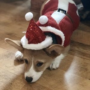 Meet your Posher, Natasha